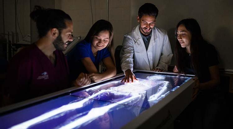 Health students examining an x-ray