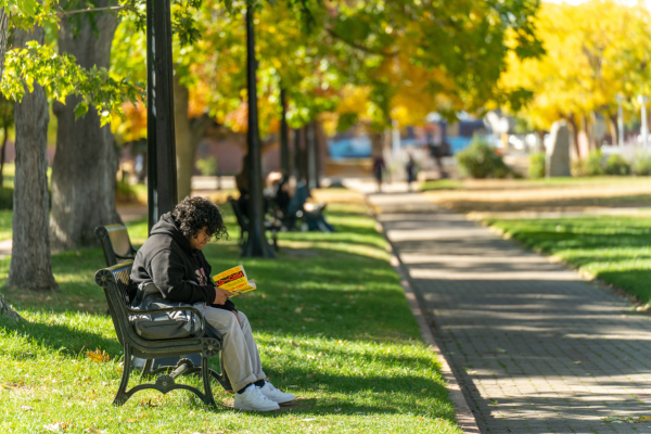 student sitting on bench outside on campus at MSU Denver reading a book with fall colored leaves in the background.